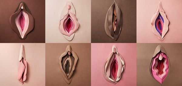 pictures of vagina